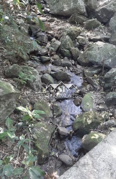 Fazenda, 43 hectares - Foto 3