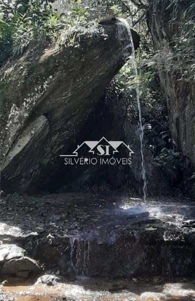 Fazenda, 43 hectares - Foto 4