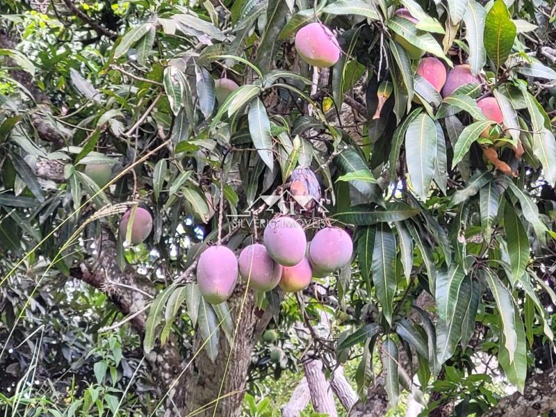 Casa à venda em Centro, Areal - RJ - Foto 12