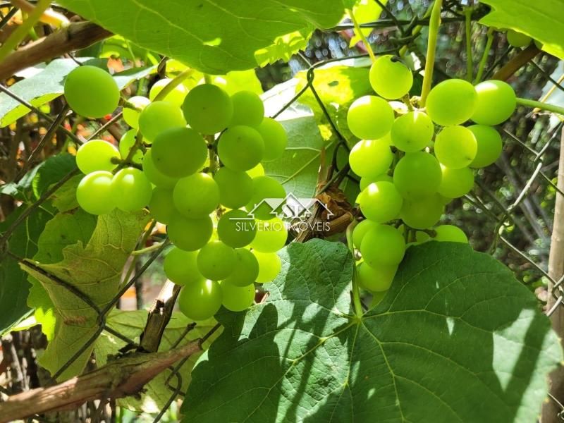 Casa à venda em Centro, Areal - RJ - Foto 14