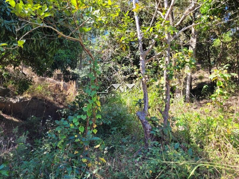 Casa à venda em Centro, Areal - RJ - Foto 13