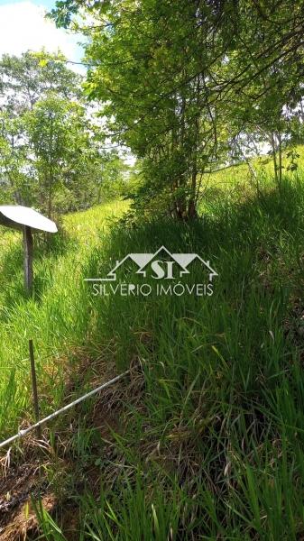 Sítio, 3 quartos, 3354 m² - Foto 2