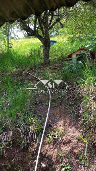 Sítio, 3 quartos, 3354 m² - Foto 3