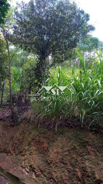 Fazenda / Sítio à venda em Centro, São José do Vale do Rio Preto - RJ - Foto 10