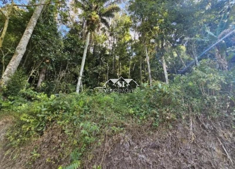 Terreno, 2600 m² - Foto 4