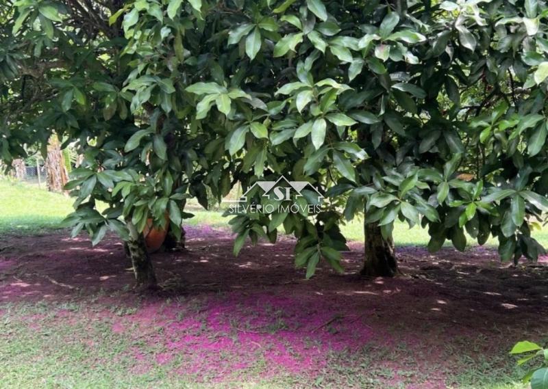 Casa à venda em Araras, Petrópolis - RJ - Foto 5