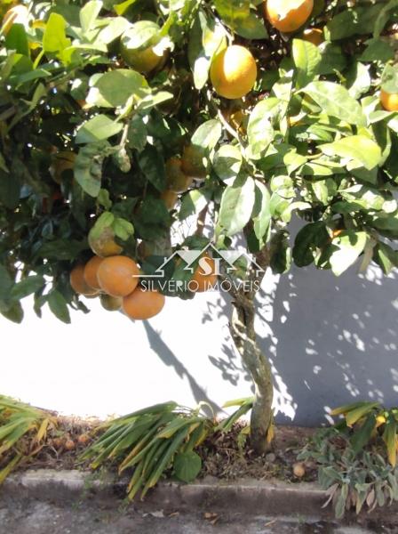 Casa à venda em Independência, Petrópolis - RJ - Foto 19