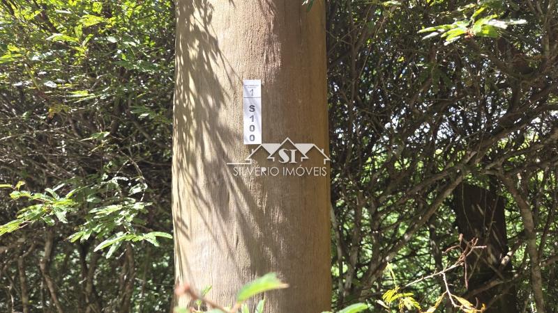 Terreno Residencial à venda em Itaipava, Petrópolis - RJ - Foto 7