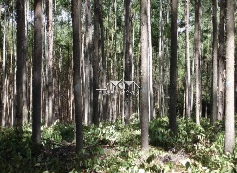 Terreno Residencial à venda em Duas Pedras, Nova Friburgo - RJ