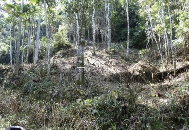 Terreno Residencial à venda em Fazenda Inglesa, Petrópolis - RJ - Foto 2