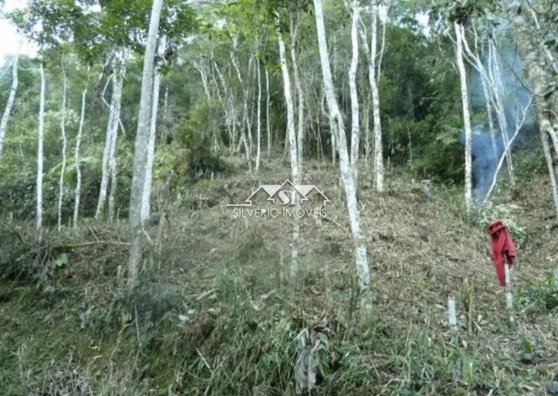 Terreno Residencial à venda em Fazenda Inglesa, Petrópolis - RJ - Foto 6