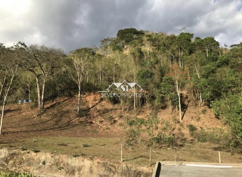 Fazenda, 4 hectares - Foto 5