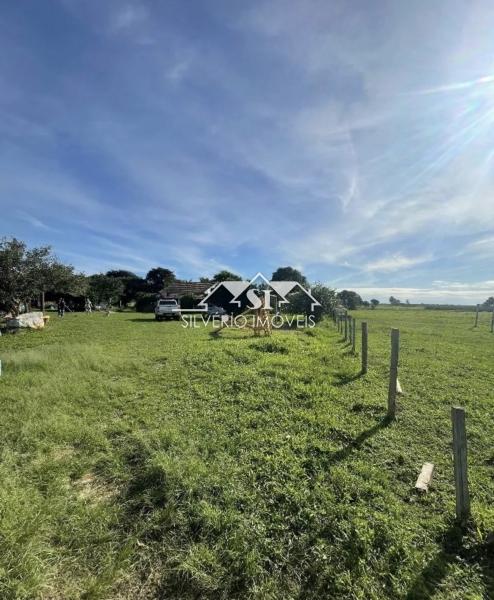 Fazenda, 210 hectares - Foto 3