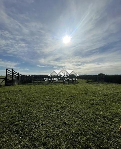 Fazenda, 210 hectares - Foto 7