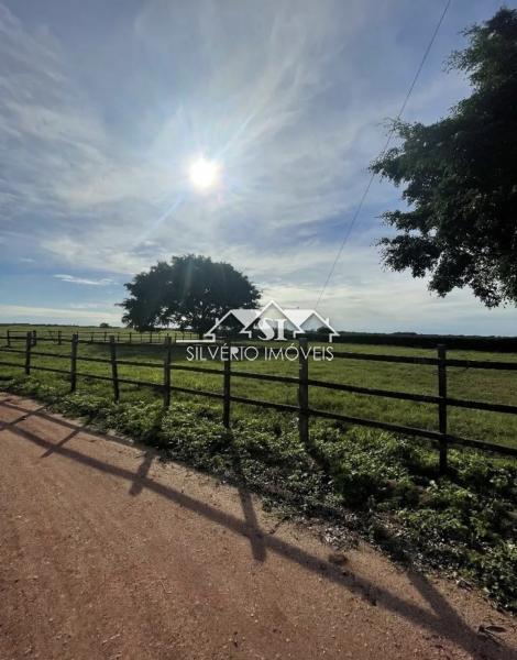 Fazenda, 210 hectares - Foto 1