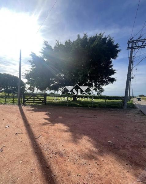 Fazenda, 210 hectares - Foto 8
