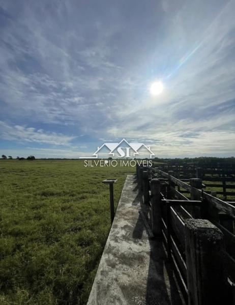 Fazenda, 210 hectares - Foto 9