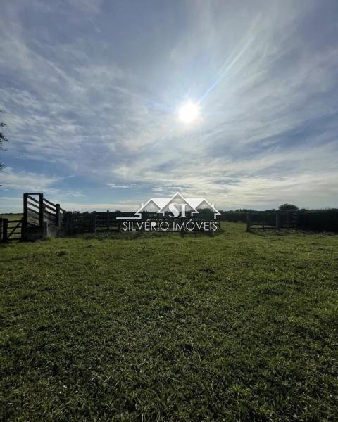 Fazenda, 210 hectares - Foto 11