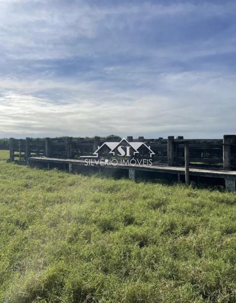Fazenda, 210 hectares - Foto 12