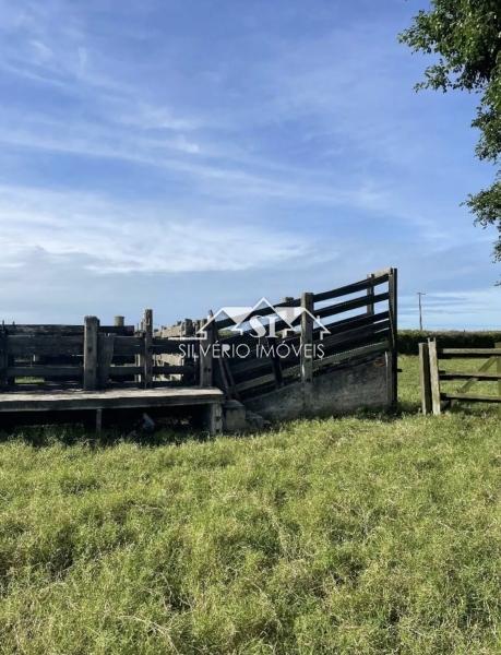 Fazenda, 210 hectares - Foto 13