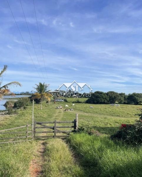 Fazenda, 210 hectares - Foto 14