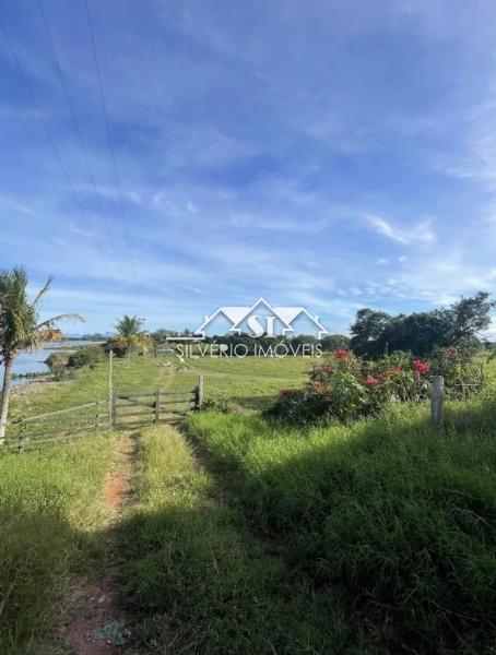 Fazenda, 210 hectares - Foto 15
