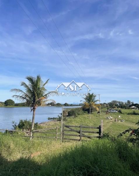 Fazenda, 210 hectares - Foto 18