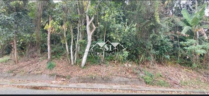 Terreno Residencial à venda em Quitandinha, Petrópolis - RJ - Foto 4