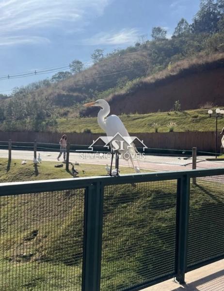 Apartamento à venda em Itaipava, Petrópolis - RJ - Foto 4