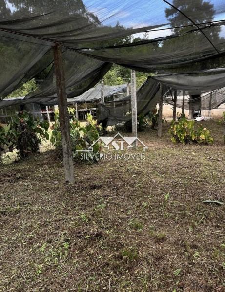 Terreno Residencial à venda em Itaipava, Petrópolis - RJ - Foto 2