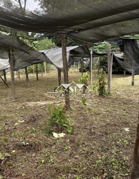 Terreno Residencial à venda em Itaipava, Petrópolis - RJ - Foto 5