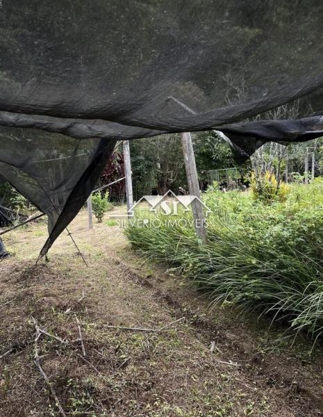 Terreno Residencial à venda em Itaipava, Petrópolis - RJ - Foto 6
