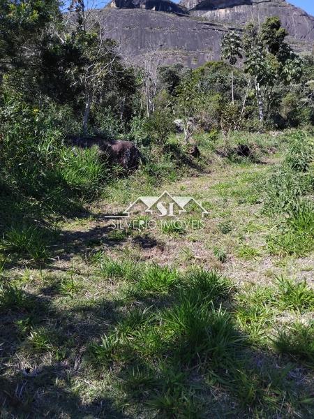 Terreno Residencial à venda em Samambaia, Petrópolis - RJ - Foto 13
