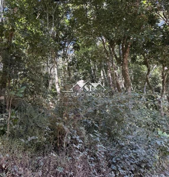 Terreno Residencial à venda em Araras, Petrópolis - RJ - Foto 2