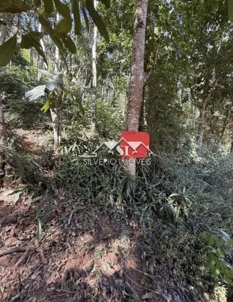Terreno Residencial à venda em Araras, Petrópolis - RJ - Foto 3