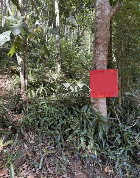 Terreno Residencial à venda em Araras, Petrópolis - RJ - Foto 4