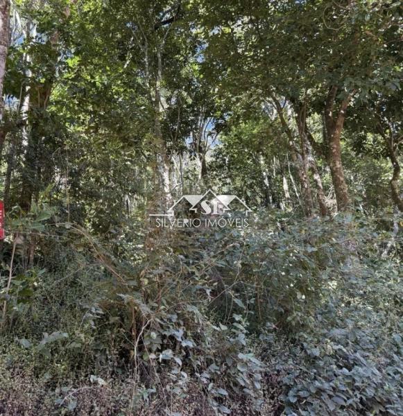 Terreno Residencial à venda em Araras, Petrópolis - RJ - Foto 5