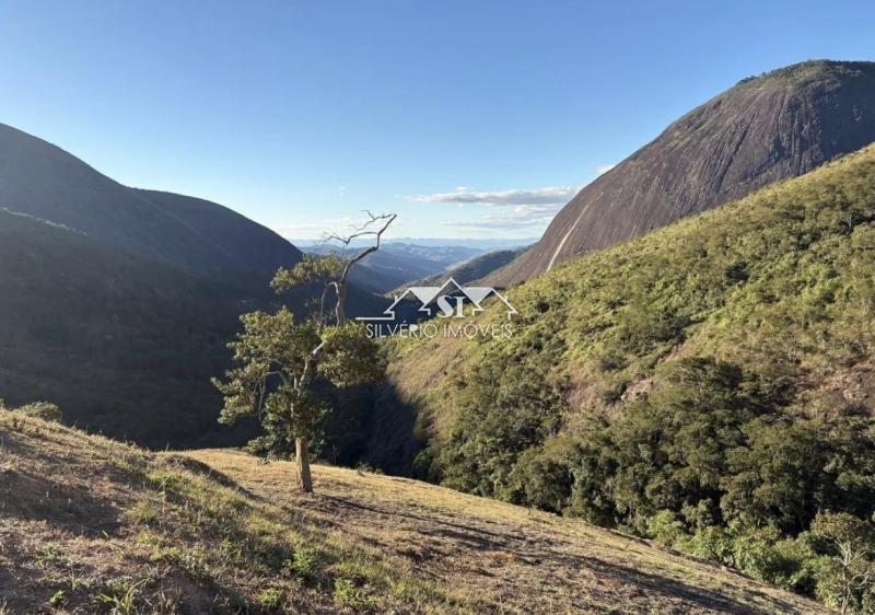 Terreno Residencial à venda em Pedro do Rio, Petrópolis - RJ - Foto 6