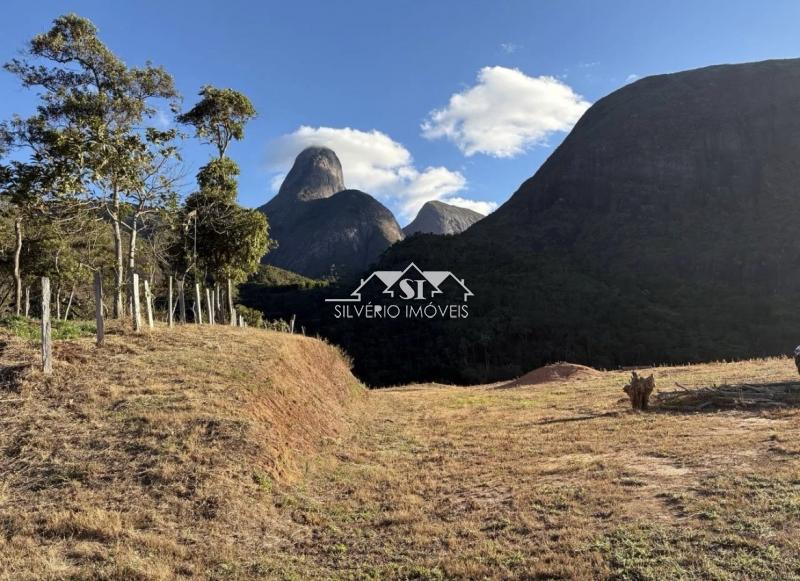 Terreno Residencial à venda em Pedro do Rio, Petrópolis - RJ - Foto 7