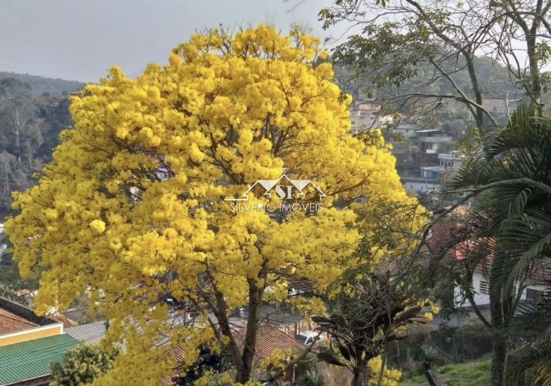 Terreno Residencial à venda em Nogueira, Petrópolis - RJ - Foto 4