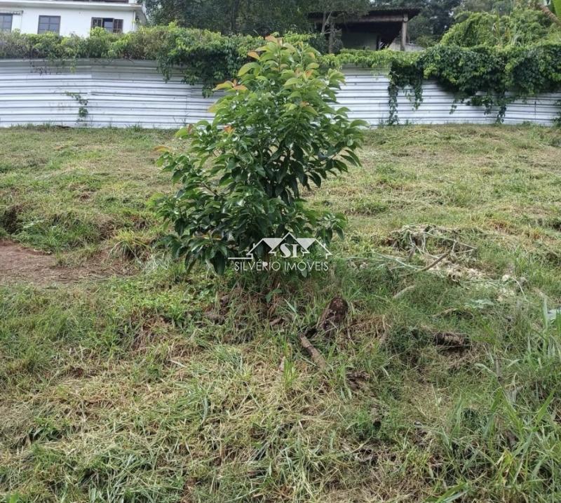 Terreno Residencial à venda em Nogueira, Petrópolis - RJ - Foto 2
