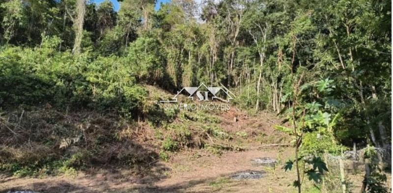 Terreno Residencial à venda em Caminho da Mata, Areal - RJ - Foto 2