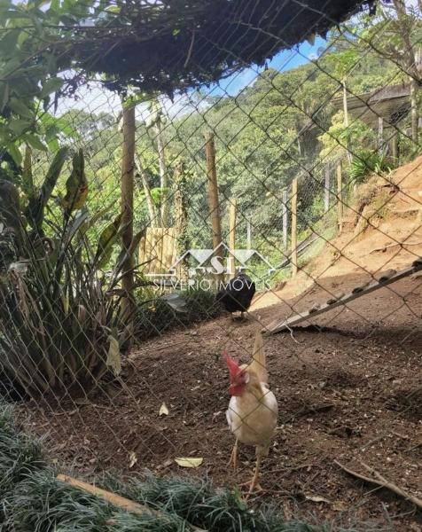 Casa à venda em Quitandinha, Petrópolis - RJ - Foto 7