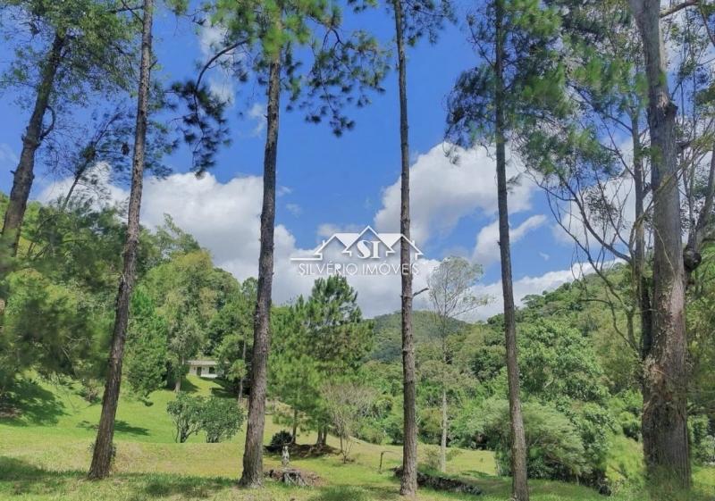 Fazenda / Sítio à venda em Vargem Grande, Teresópolis - RJ - Foto 5