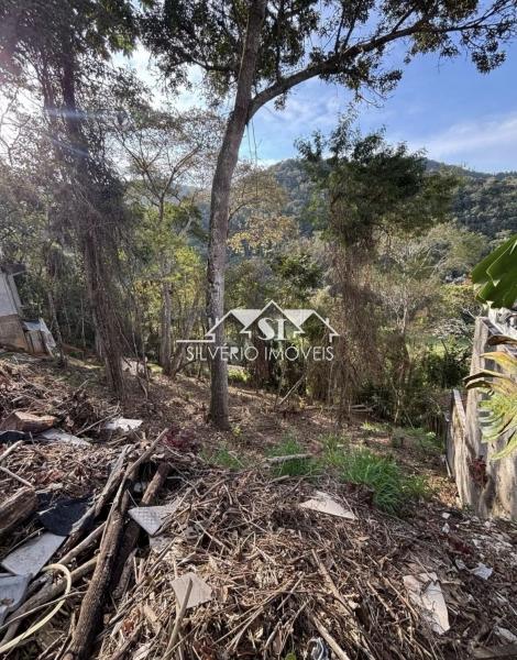 Terreno Residencial à venda em Bonsucesso, Petrópolis - RJ - Foto 3
