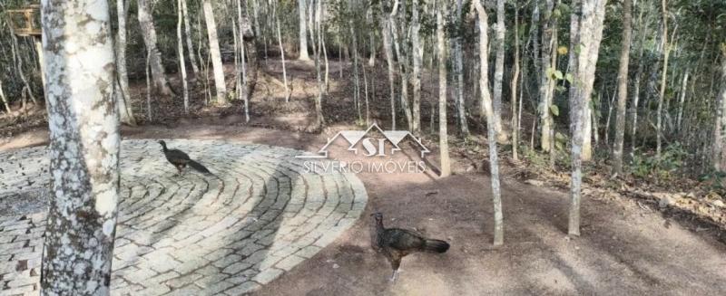 Terreno Residencial à venda em Itaipava, Petrópolis - RJ - Foto 3