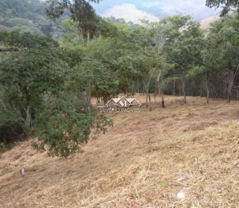 Terreno Residencial à venda em Pedro do Rio, Petrópolis - RJ - Foto 5