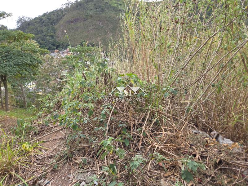 Terreno Residencial à venda em Roseiral, Petrópolis - RJ - Foto 10