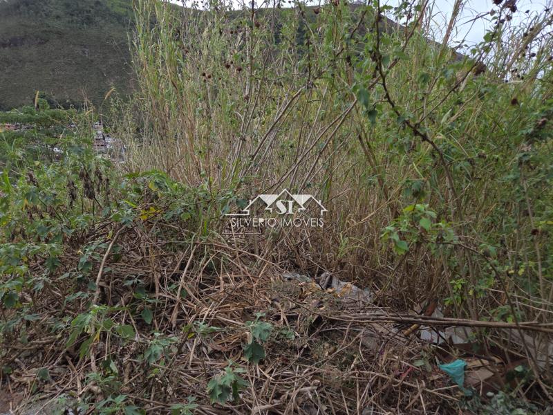 Terreno Residencial à venda em Roseiral, Petrópolis - RJ - Foto 9