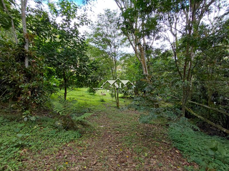 Terreno Residencial à venda em Itaipava, Petrópolis - RJ - Foto 1